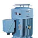 Hyundai Three-phase Induction Motor 50HP 37KW 6P 380V Vertical B5 V1